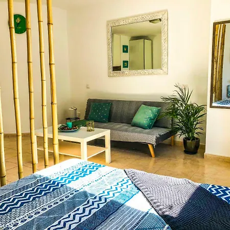 Aloe * Κοραλέχο